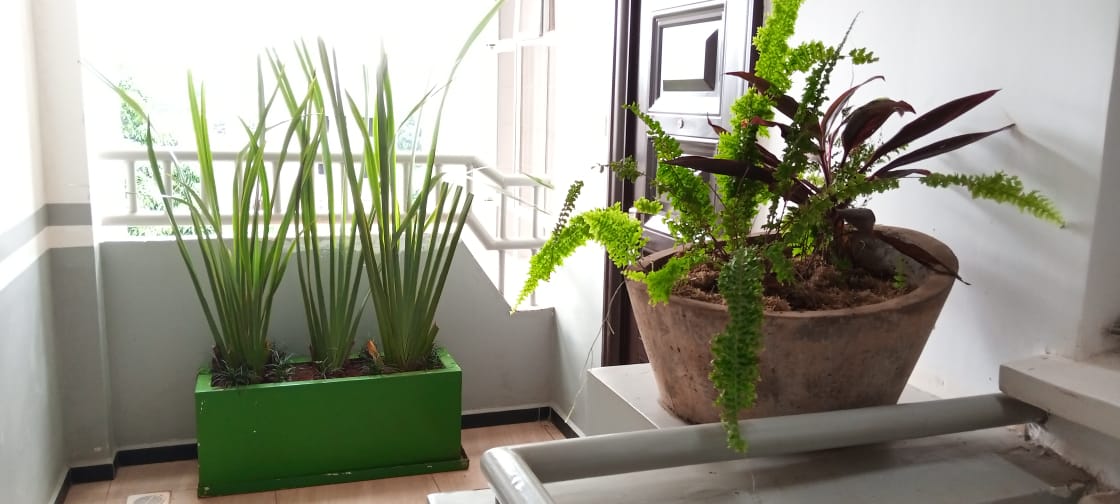 Mentor Apartments_images